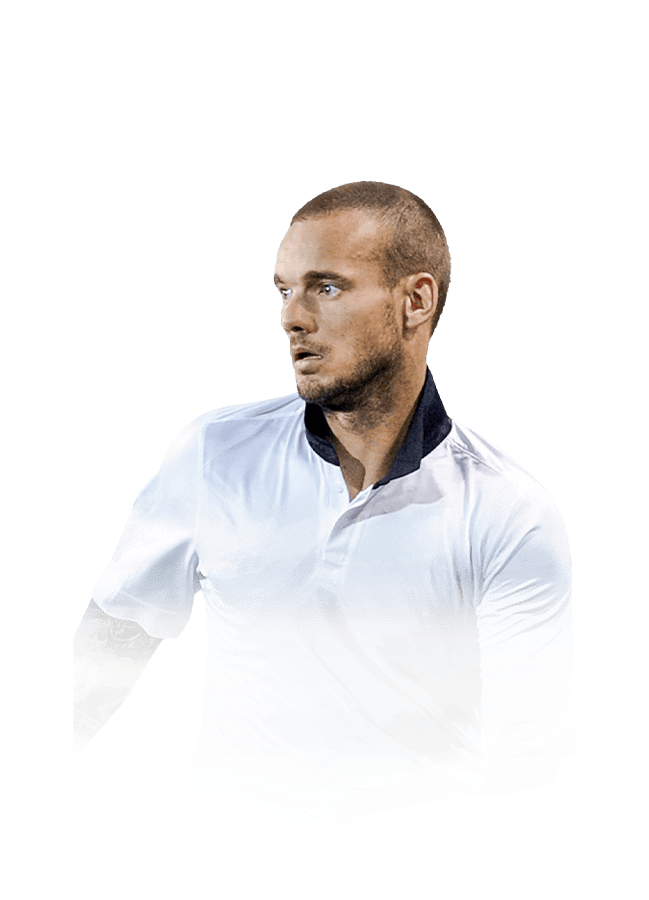 Wesley Sneijder