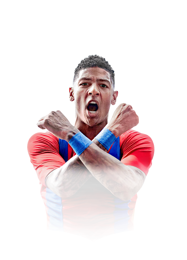 Patrick van Aanholt