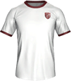 Форма Salernitana