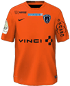 Форма Paris FC