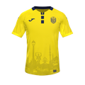 Форма MKE Ankaragücü