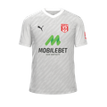 Форма Hallescher FC