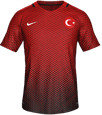 Форма Turkey