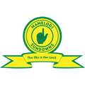 Mamelodi Sundowns FC - логотип