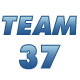 Лого *Team37