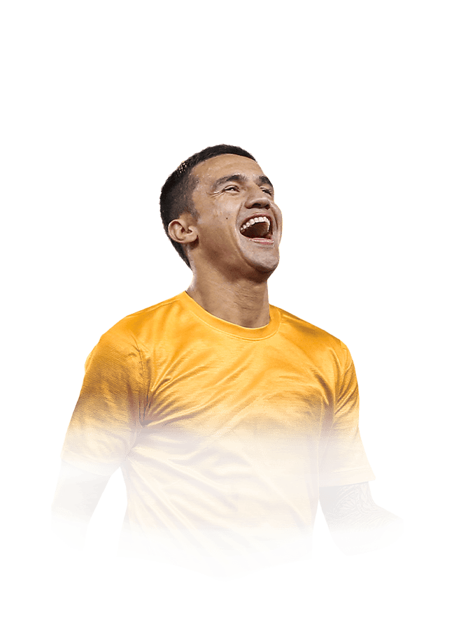 Tim Cahill