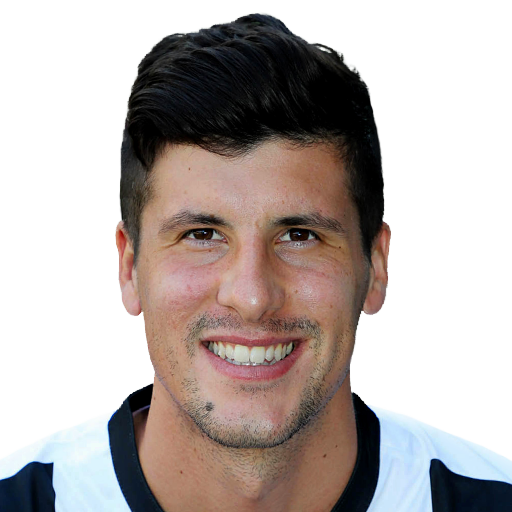 Stipe Perica