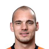 Wesley Sneijder