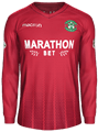 Форма Hibernian