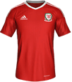 Форма Wales