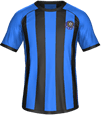 Форма Latina