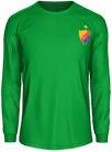 Форма Djurgårdens IF