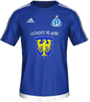 Форма Ruch Chorzów