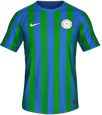 Форма Çaykur Rizespor