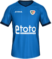 Форма Piast Gliwice