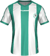 Форма Konyaspor