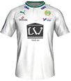 Форма Hammarby IF