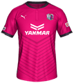 Форма Toulouse FC