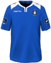 Форма Limerick FC