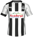 Форма Sandecja Nowy Sącz