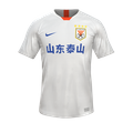 Форма Shandong Taishan