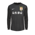 Форма Shandong Taishan