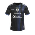Форма IDV