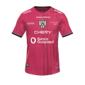 Форма IDV