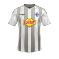 Форма SV Waldhof