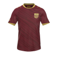 Форма Hyderabad FC