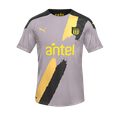 Форма Peñarol