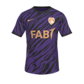 Форма Al Ain FC