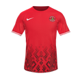 Форма dmraniyespor