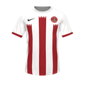 Форма dmraniyespor