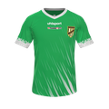 Форма SC Austria
