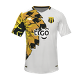 Форма Guaraní