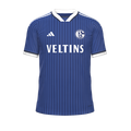 Форма Schalke 04