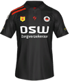 Форма Excelsior