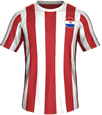 Форма Paraguay