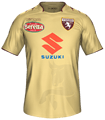 Форма Torino