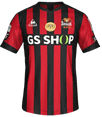 Форма FC Seoul