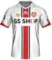 Форма FC Seoul