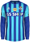 Форма FC Seoul