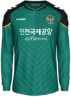 Форма Incheon United
