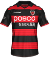 Форма Pohang Steelers
