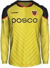 Форма Pohang Steelers