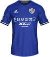Форма Ulsan Hyundai