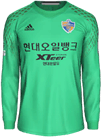 Форма Ulsan Hyundai