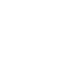 Metz - лого