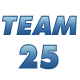 Лого *Team025